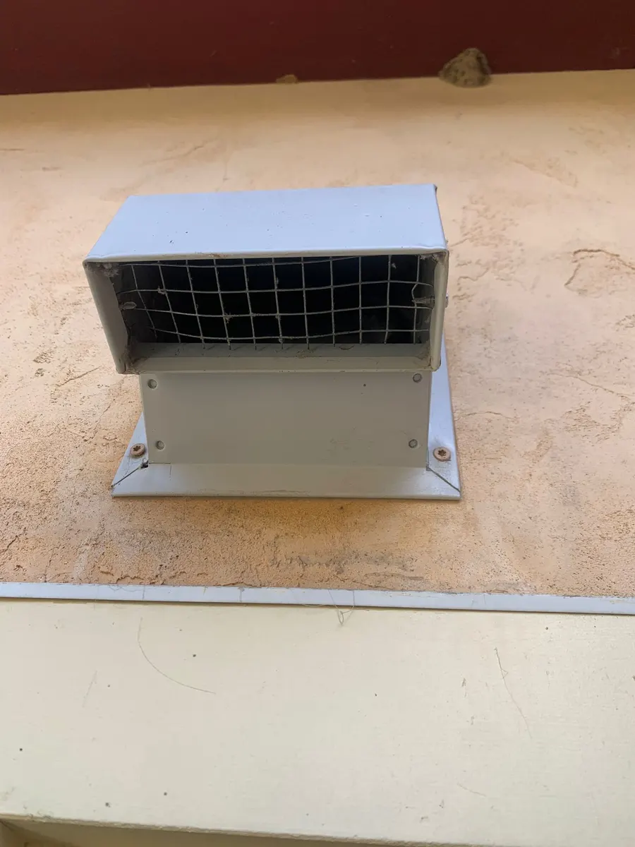 Exterior dryer vent hood after cleaning, protected by a guard over the opening