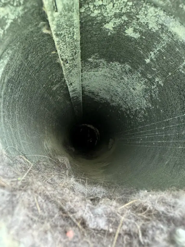 Nesting material and debris found inside an air duct during cleaning